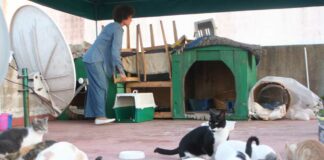 LA SPANA: pour le respect des animaux