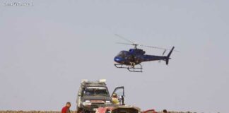 Toujours les gazelles, mais les gazous s’en mêlent…