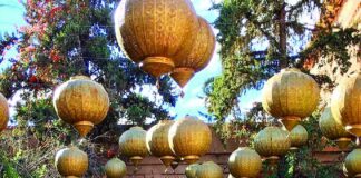 Itinéraire d’une enfant douée