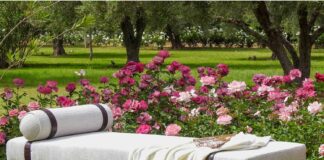 La collection 2017 de Scènes de Lin est arrivée !