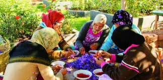 Bienvenue au Paradis du safran