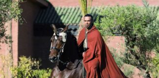 Sadek, prodige de l’art équestre au Selman