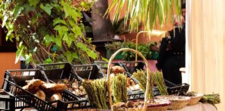 Marchés bio, de la ferme à l’assiette