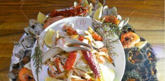 L’OCÉAN À LA MAISON