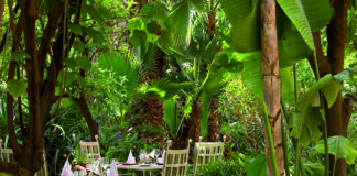 Brunch, jazz et prestidigitation dans Les Jardins de la Médina