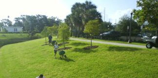 Le gazon de Christophe n’est pas maudit