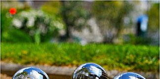 Oasiria le 5 mai, 1er Trophée de pétanque des Étoiles « Henri Salvador »