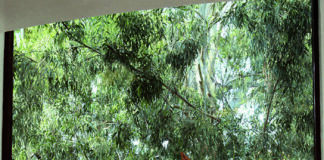 Retraite yoga au Es Saadi