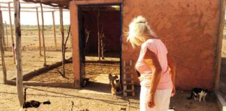 Le paradis pour animaux d’Helga