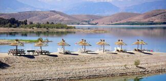 Idées pique-nique !