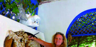 ISABELLE RENOU : spécialiste du Home relooking