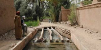 Marrakech, patrimoine en péril