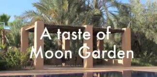 Alizé souffle chez Moon Garden