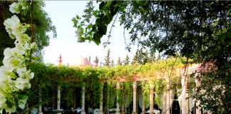 Pleins phares sur le Palais Rhoul