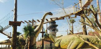 Bienvenue chez les dinosaures !