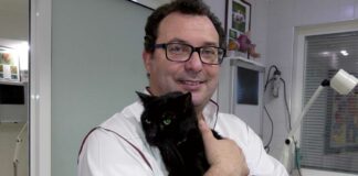 Un vétérinaire en or