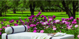 La collection 2017 de Scènes de Lin est arrivée !