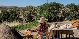 PENSER GLOBAL, AGIR LOCAL