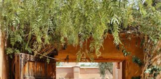 La villa 55 se met au vert