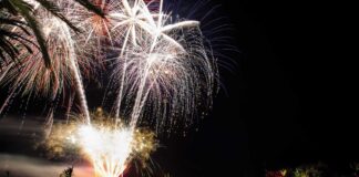 ROYAL PALM : Feux d’artifice, cérémonie du thé, garden party et barbecue