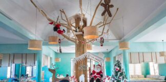 Noël et ses marchés