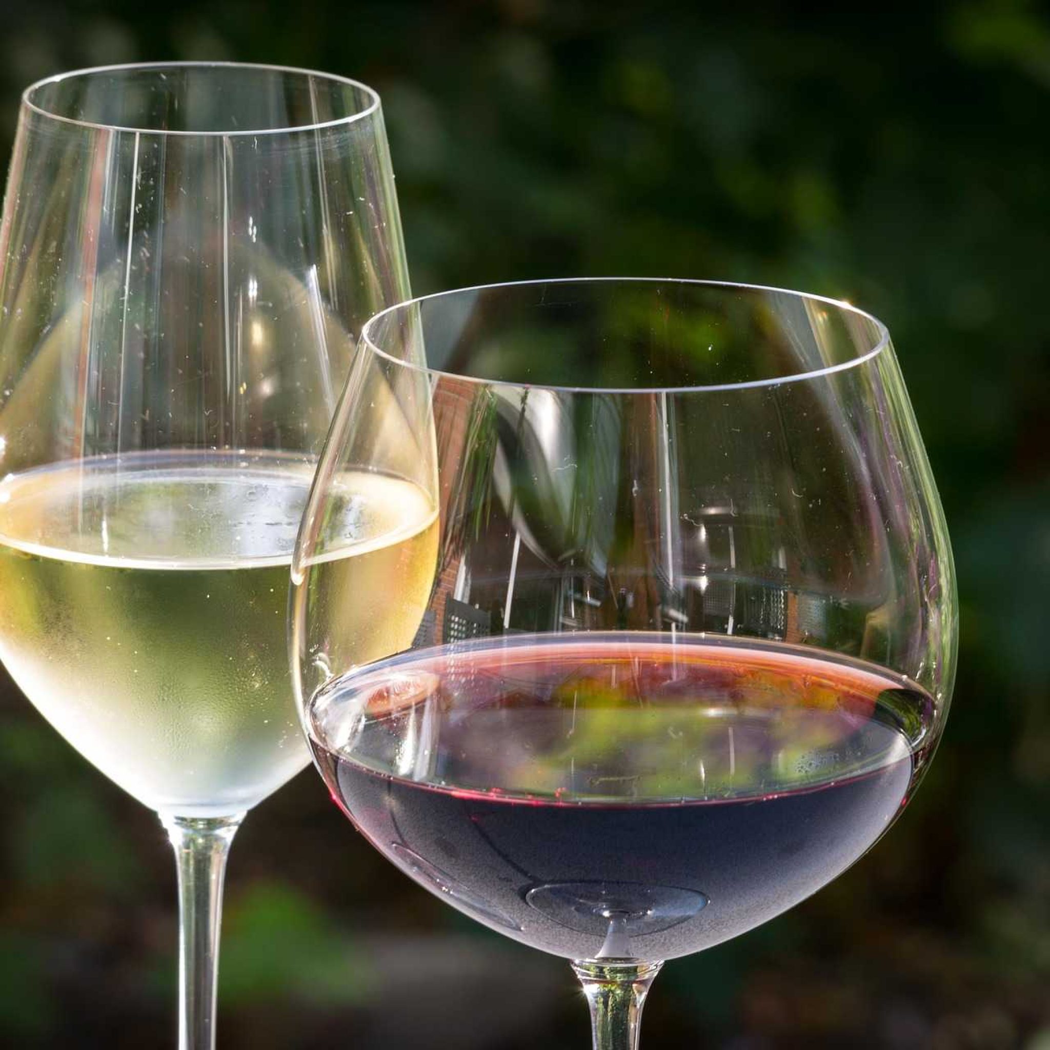 Le Maroc représenté au concours du meilleur sommelier du monde