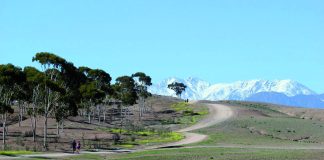 À vos marques… pour la Nomadsrun le 2 mars