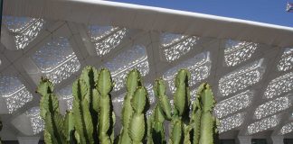 La haute saison touristique s’annonce exceptionnelle