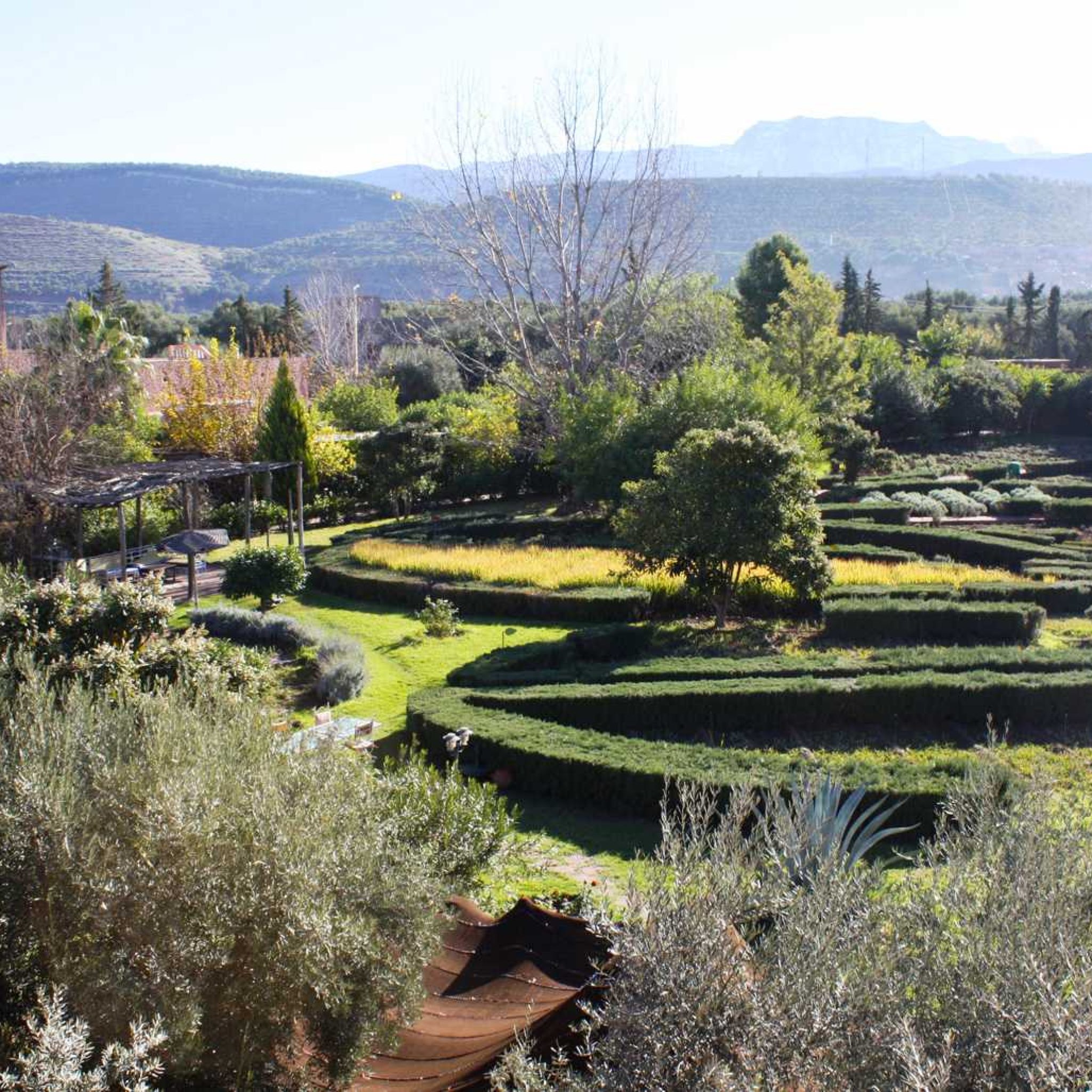 Un jardin au parfum 100% bio à Marrakech