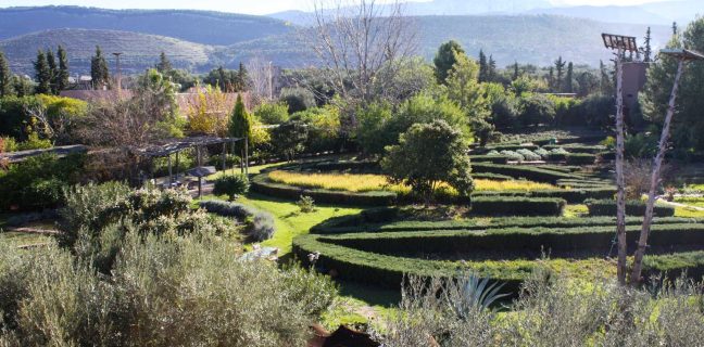 Jardin Bio Infusion Digestion 30G – Green Village Maroc