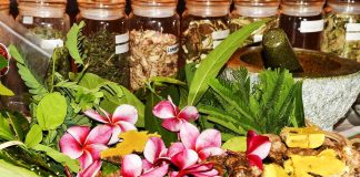 Les plantes aromatiques et médicinales de notre région ont la cote