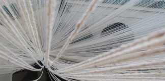 La « Perspective de séduction » d’Amine el Gotaibi