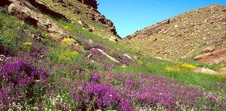 Le Mont Toubkal parmi les meilleures destinations du monde