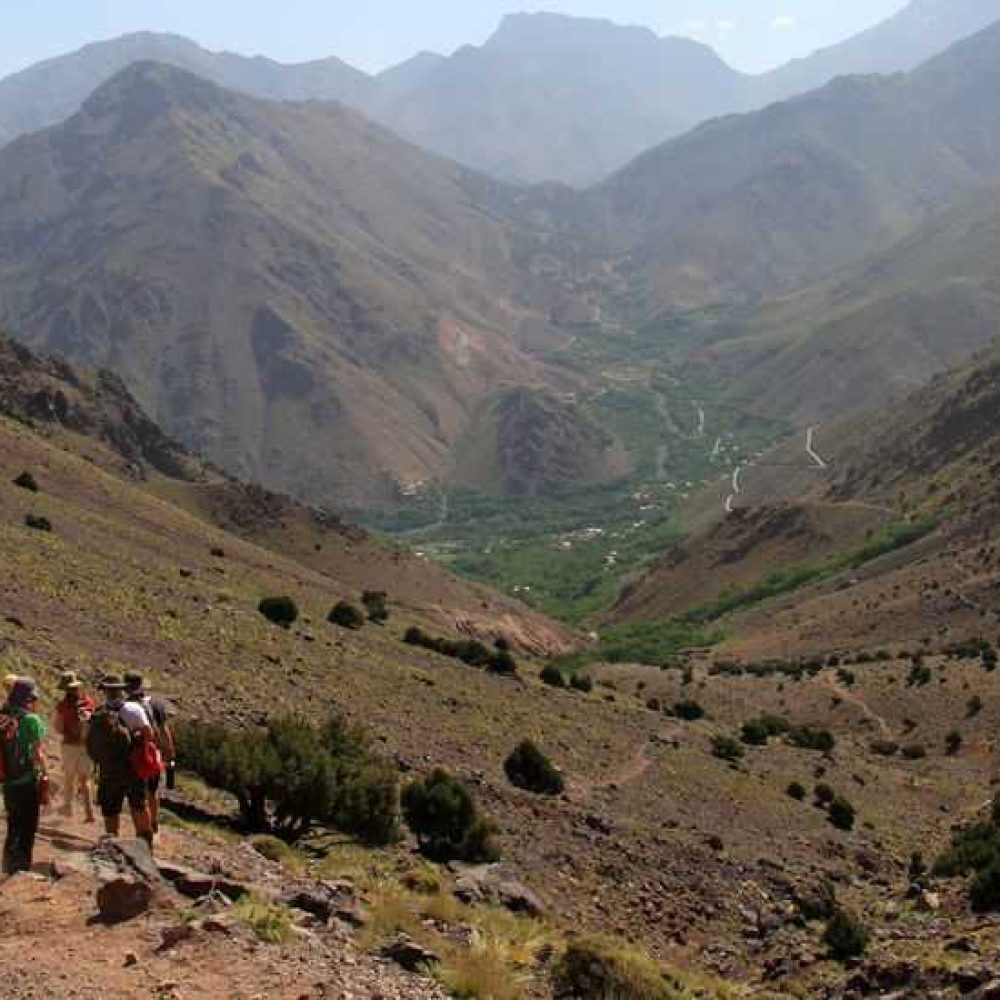 Randonnées botaniques dans nos vertes vallées à Marrakech