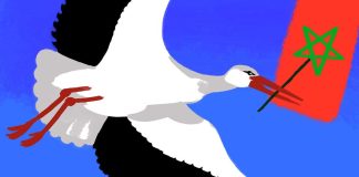 « Contes et Afrique » pour La Cigogne volubile 2019