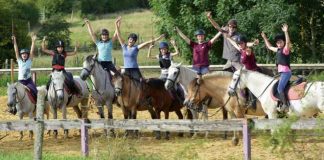 Nos 5 meilleures adresses d’équitation à Marrakech