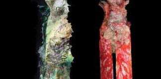 « FEMMES AUX SEPT COULEURS », un Voyage vers la liberté