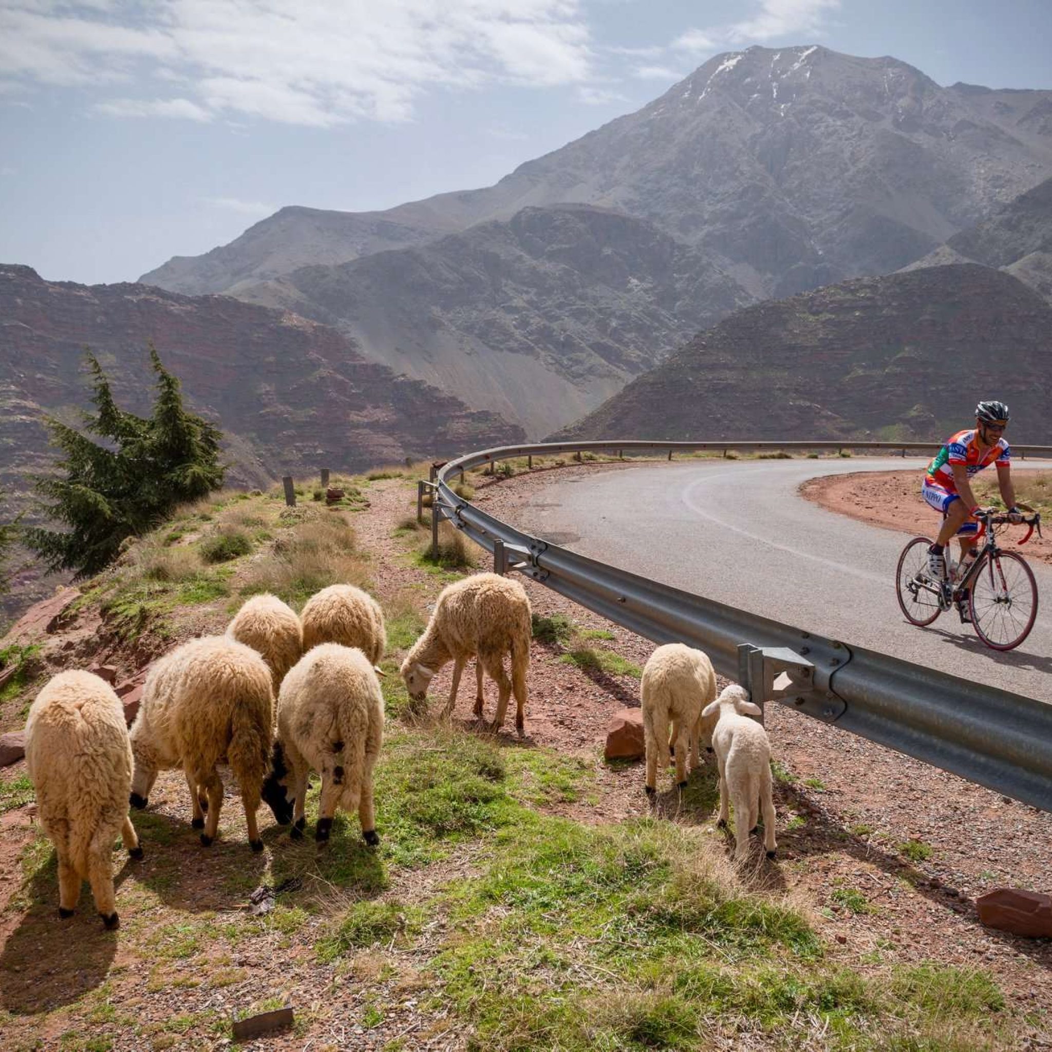 « L’Etape Morocco by Tour de France » en octobre à Marrakech