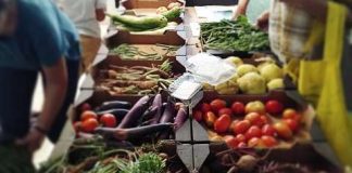 Trois bonnes raisons de pousser la porte de Ayaso