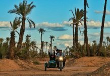 Charity Ride : Des balades en side-car dépaysantes et engagées !