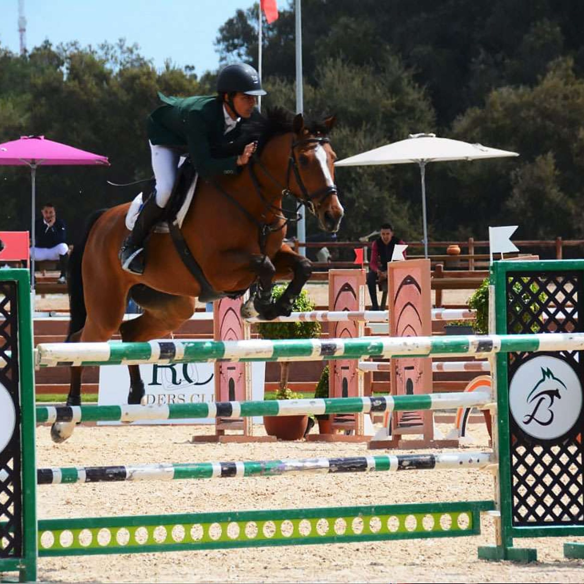 Le Concours Annuel de Saut d’Obstacle 2* fait son grand retour à Marrakech