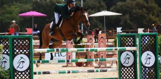 Le Concours Annuel de Saut d’Obstacle 2* fait son grand retour à Marrakech