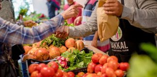 Le Marché Fermier de Ayaso : Une passerelle entre producteurs et consommateurs
