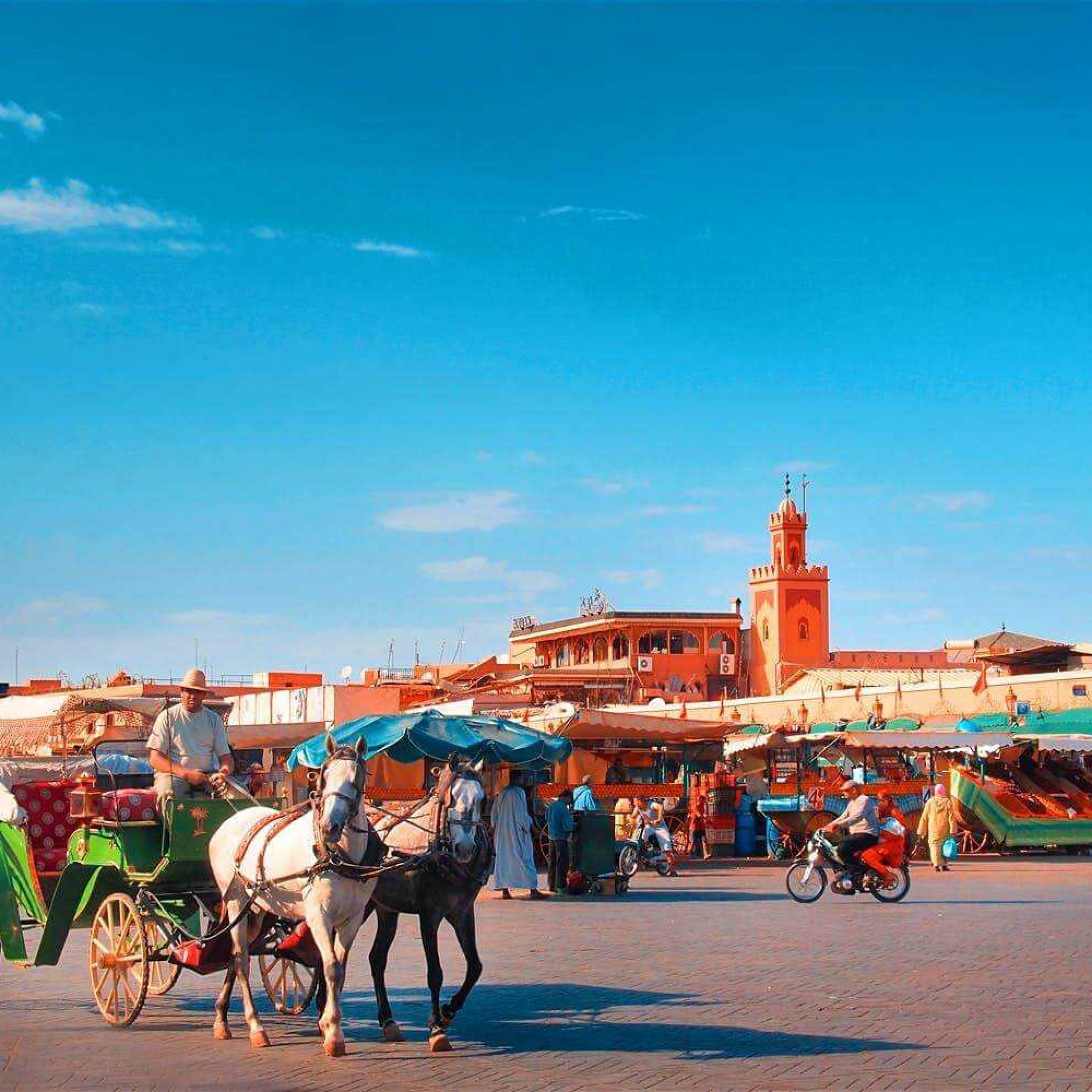 Les calèches de Marrakech ont besoin de vous !
