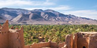 En route pour la vallée du Drâa, la face sauvage du grand sud marocain