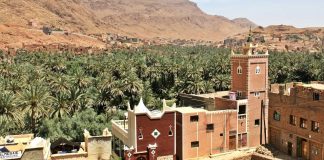 Les pieds dans les dunes, la tête dans les étoiles