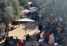 Oasiria Market ranime l’esprit du marché traditionnel