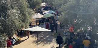 Oasiria Market ranime l’esprit du marché traditionnel