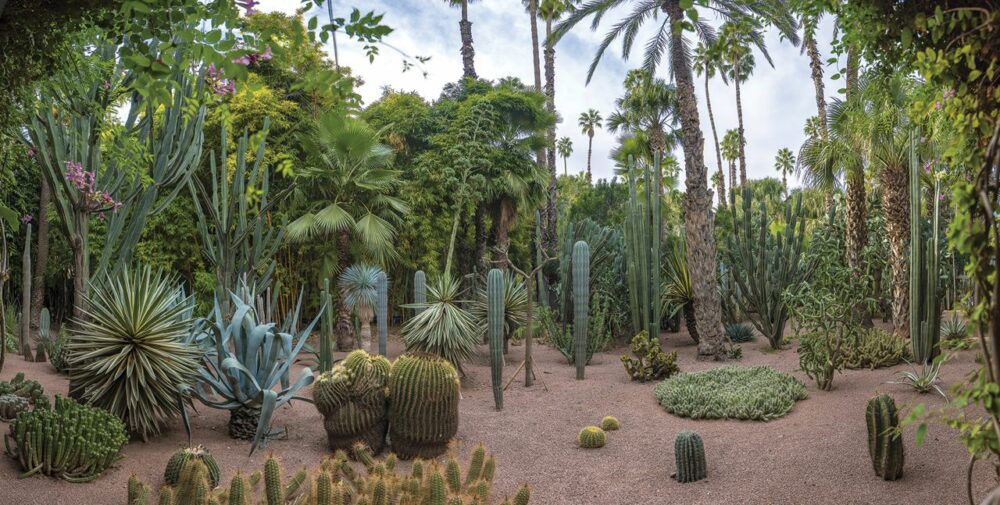 LE JARDIN MAJORELLE renoue avec la foule des grands jours à Marrakech