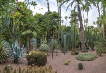 LE JARDIN MAJORELLE renoue avec la foule des grands jours